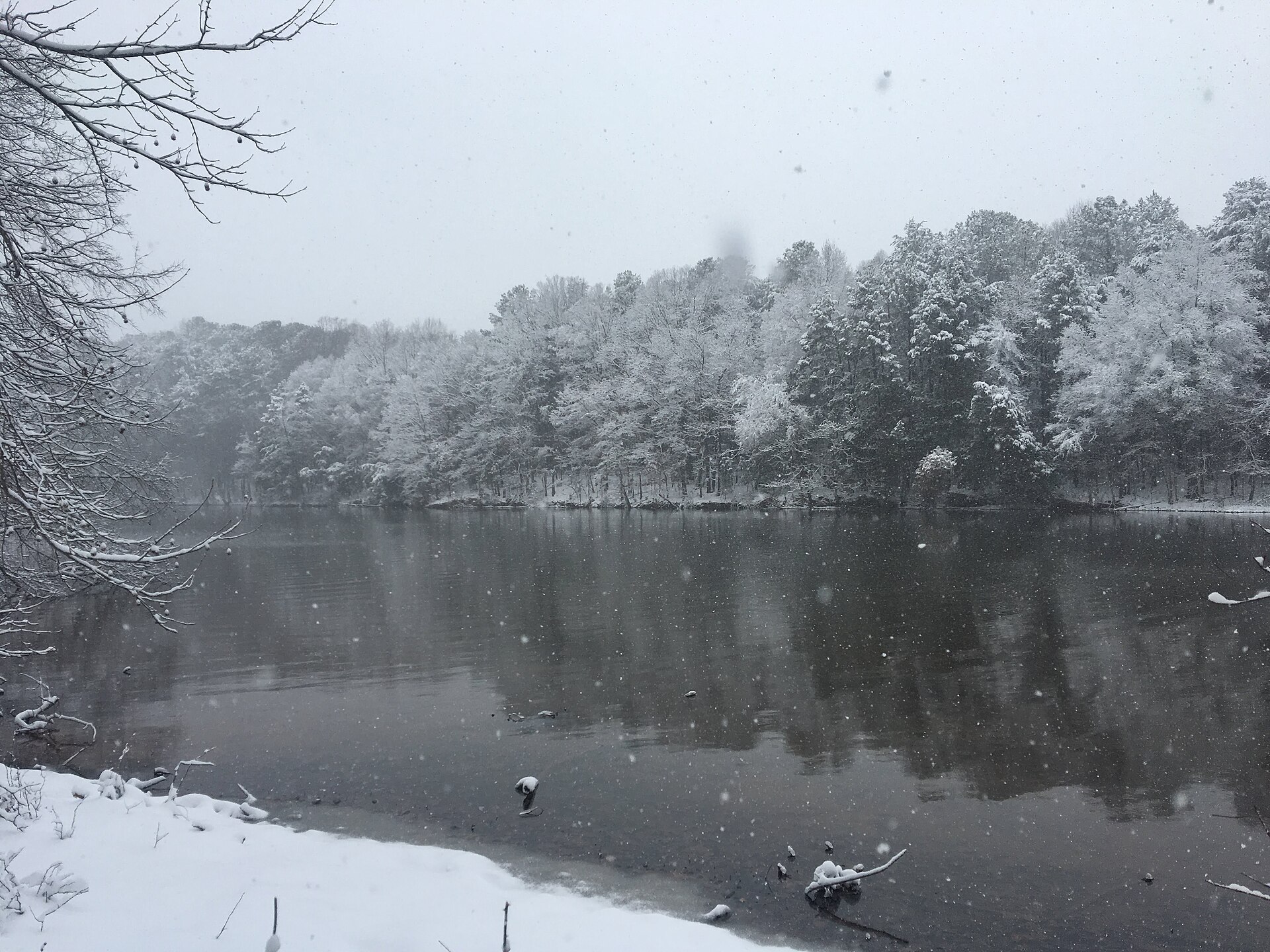 Lake Davidson